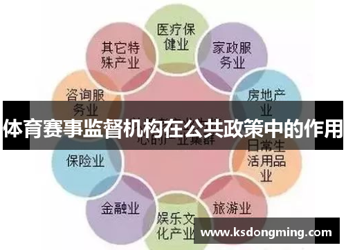 体育赛事监督机构在公共政策中的作用