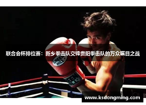 联合会杯排位赛：新乡拳击队交锋贵阳拳击队的万众瞩目之战